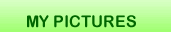 Nav Bar My Pictures